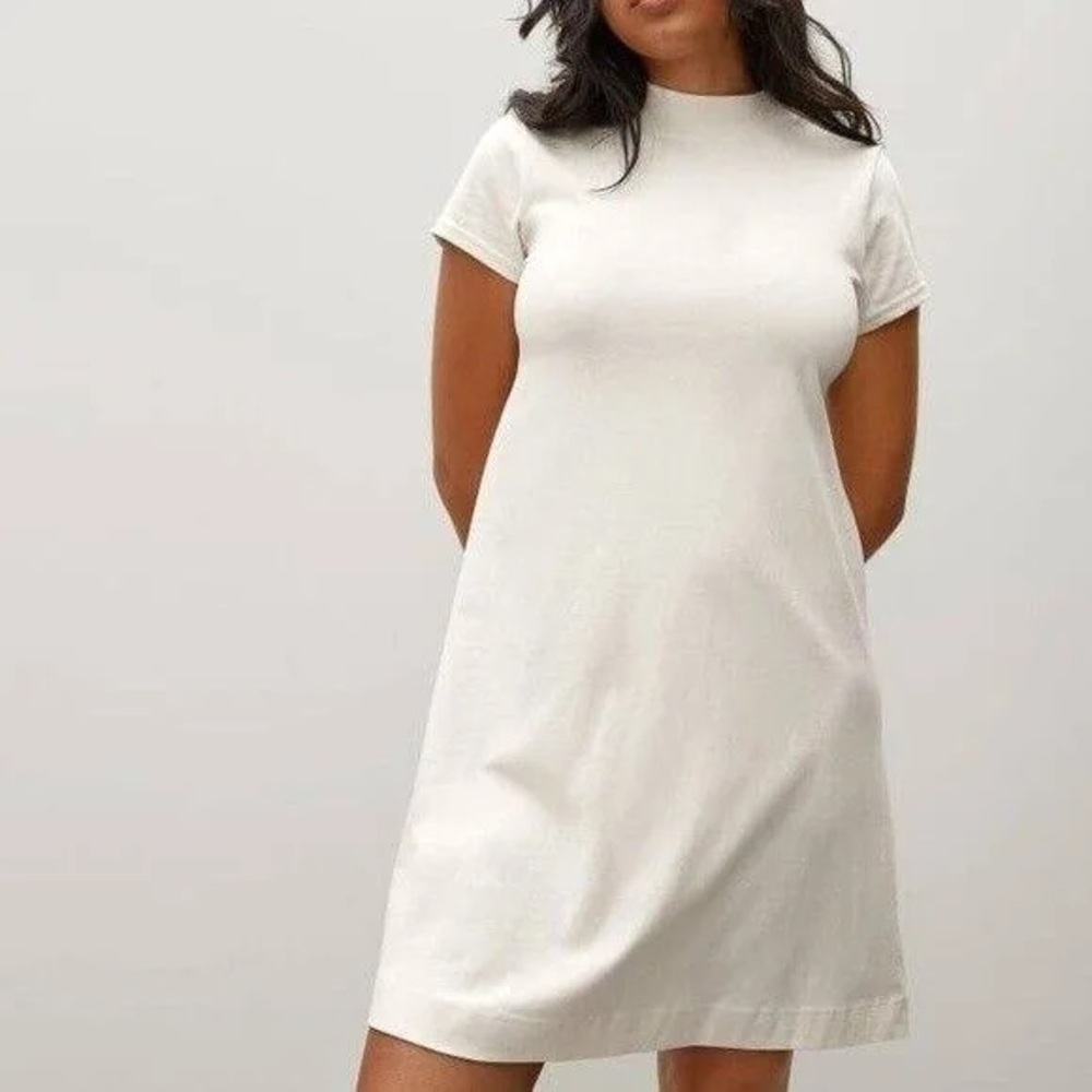 Everlane The Weekend Swing Dress Size Medium